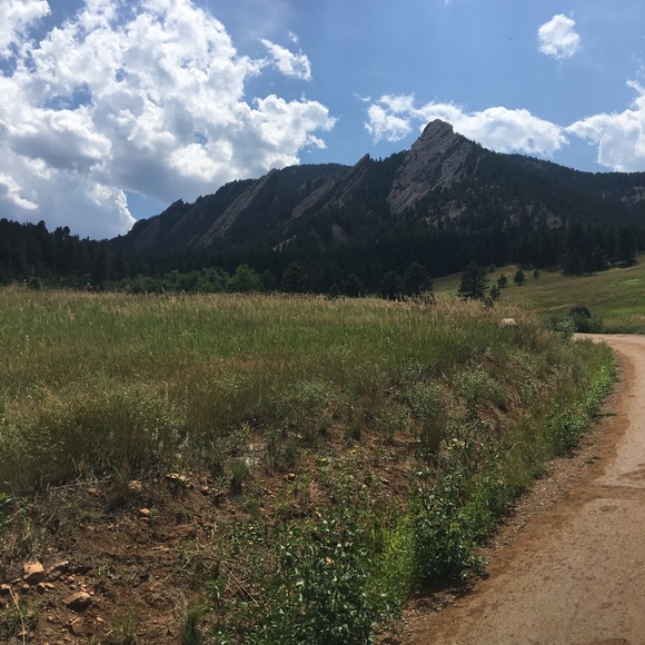 Meet your Posher, Catherine - Picture 1 of 1